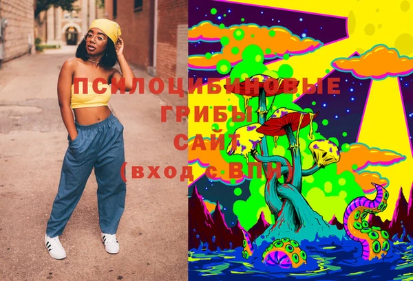 PSILOCYBIN Остров