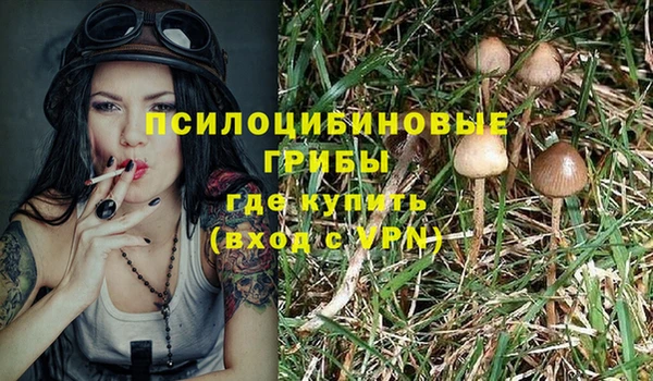скорость Осинники