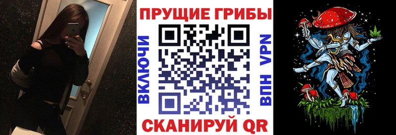 Псилоцибиновые грибы Cubensis  Большой Камень 