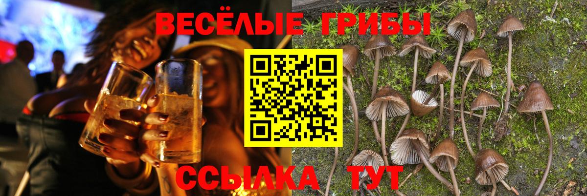 Большой Камень  Псилоцибиновые грибы Cubensis  Галлюциногенные грибы Psilocybine cubensis  Вход с VPN 