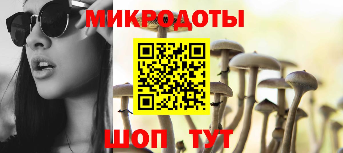 Галлюциногенные грибы Magic Shrooms Большой Камень