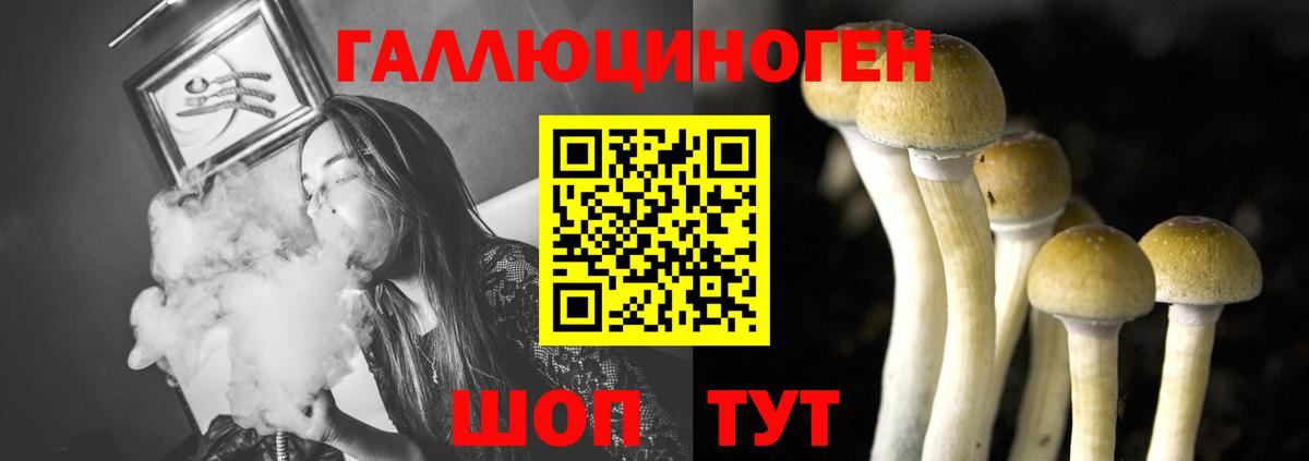 Галлюциногенные грибы GOLDEN TEACHER Большой Камень