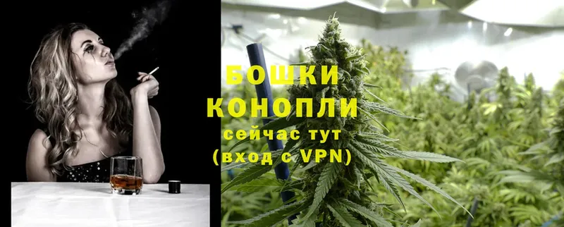 где найти   Большой Камень  Шишки марихуана OG Kush 