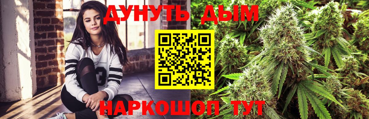 Шишки марихуана планчик  Бошки Шишки сатива  Большой Камень  Бошки Шишки VHQ  Вход с VPN  Канабис марихуана 